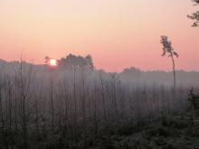 Uwaga! Lasy innych własności