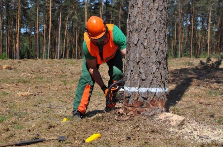 fot. Zenon Jasiński