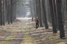 Uczymy się liczyć zwierzęta