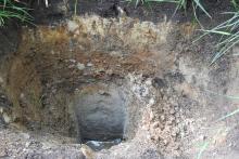 Weryfikacja siedlisk leśnych Nadleśnictwa Sarbia