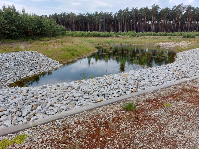 Fot. zasoby nadleśnictwa
