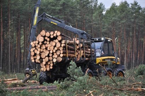 Forwareder podczas pracy na zrębie