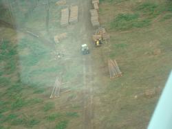 Zrywka i manipulacja drewna