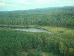 Rezerwat "Źródliska Flinty"