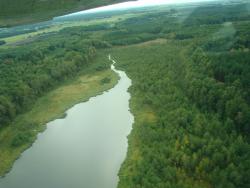 Rezerwat "Źródliska Flinty"