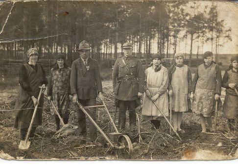 Rok 1925. Siew lasu w leśnictwie Drzązgowo