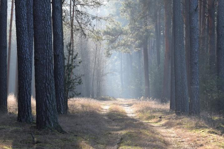 fot. Michał Bartkowiak