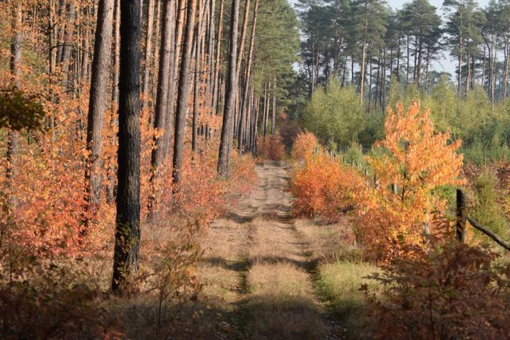 fot. Michał Bartkowiak