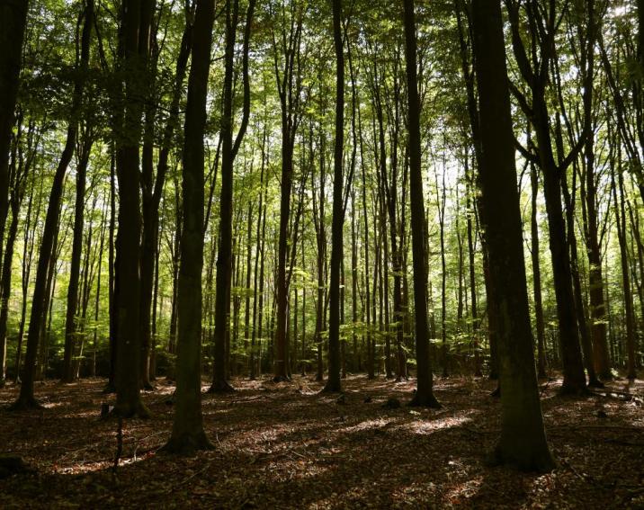 fot. Ada Szczerbo-Niefiedowicz