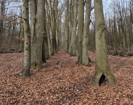 DOTACJA Z WFOŚiGW W POZNANIU – 2026 r.